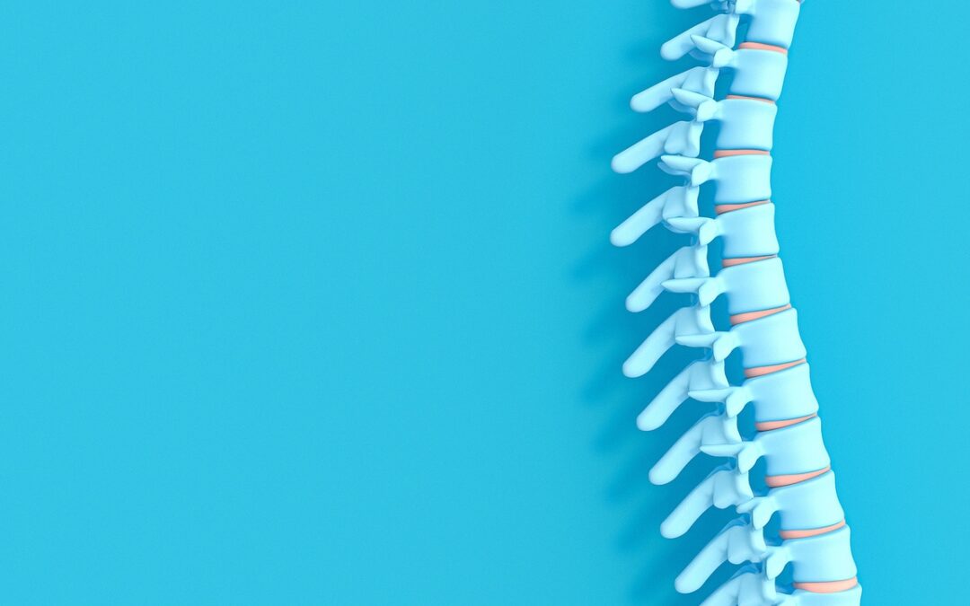 Back Pain and Spinal Posture