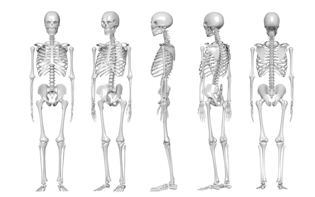 5 Posture Exercises to Build Your Bones