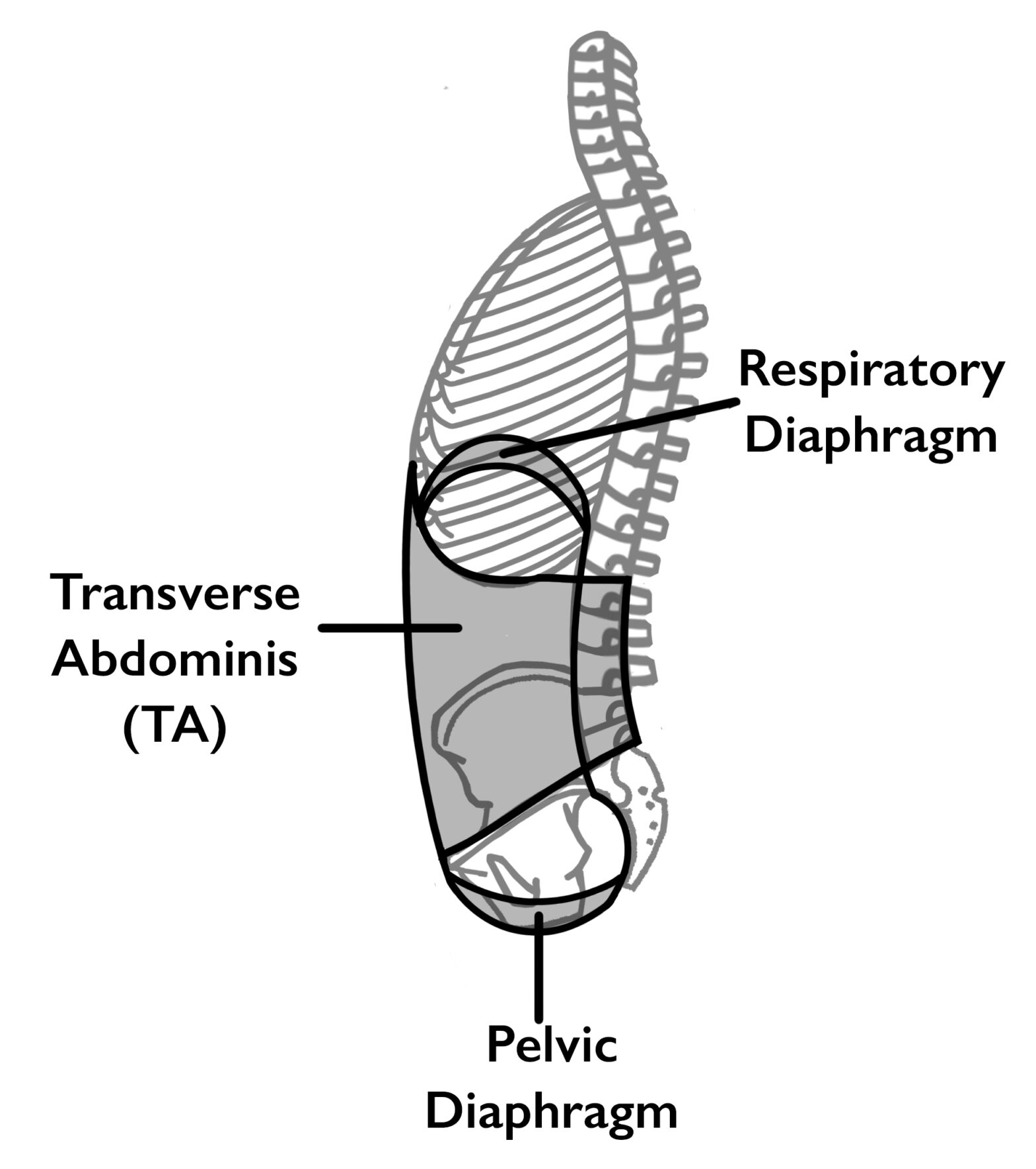 the-connection-between-neck-pain-and-breathing