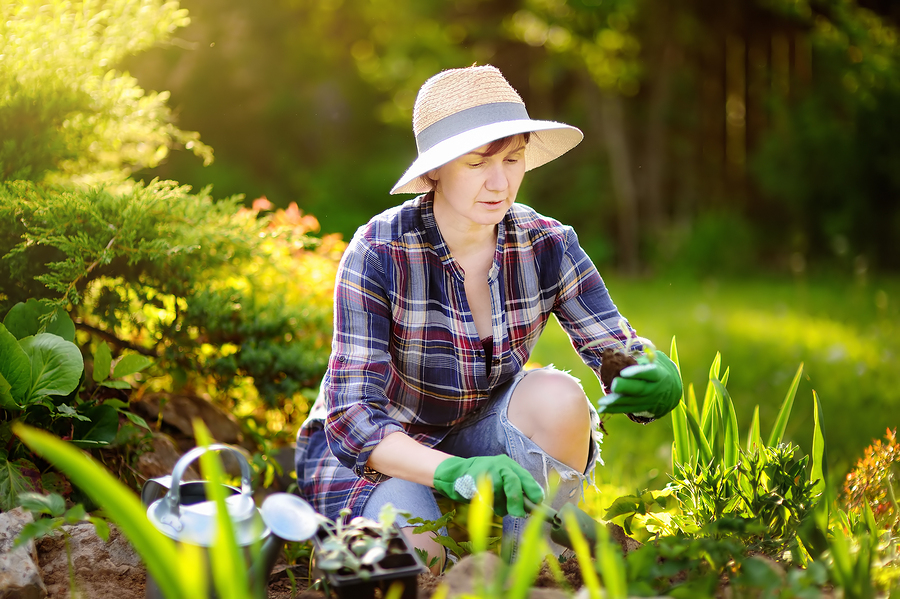 3 Exercises for Pain Free Gardening