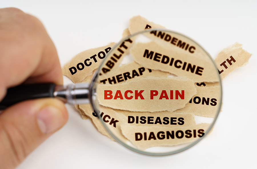 Chronic Back Pain: Looking for the source of the problem